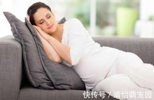 胎宝|怀孕后哪几个月,胎宝长的最快呢?三个表现说明胎宝在“猛涨期”