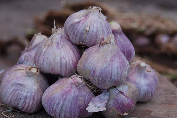 肝病患者|大蒜泡酒,越喝越有!大蒜泡酒的功效,你知道多少有你需要的吗