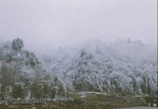 白茫茫|黑竹沟也下雪啦！白茫茫一片，美炸！！