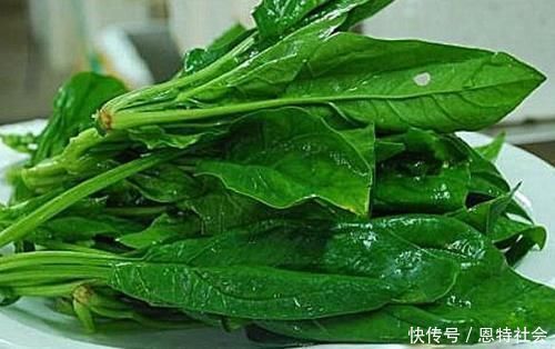 黄花菜|此6种蔬菜不焯水“不可以吃”,多数人都不晓得,还一直再吃