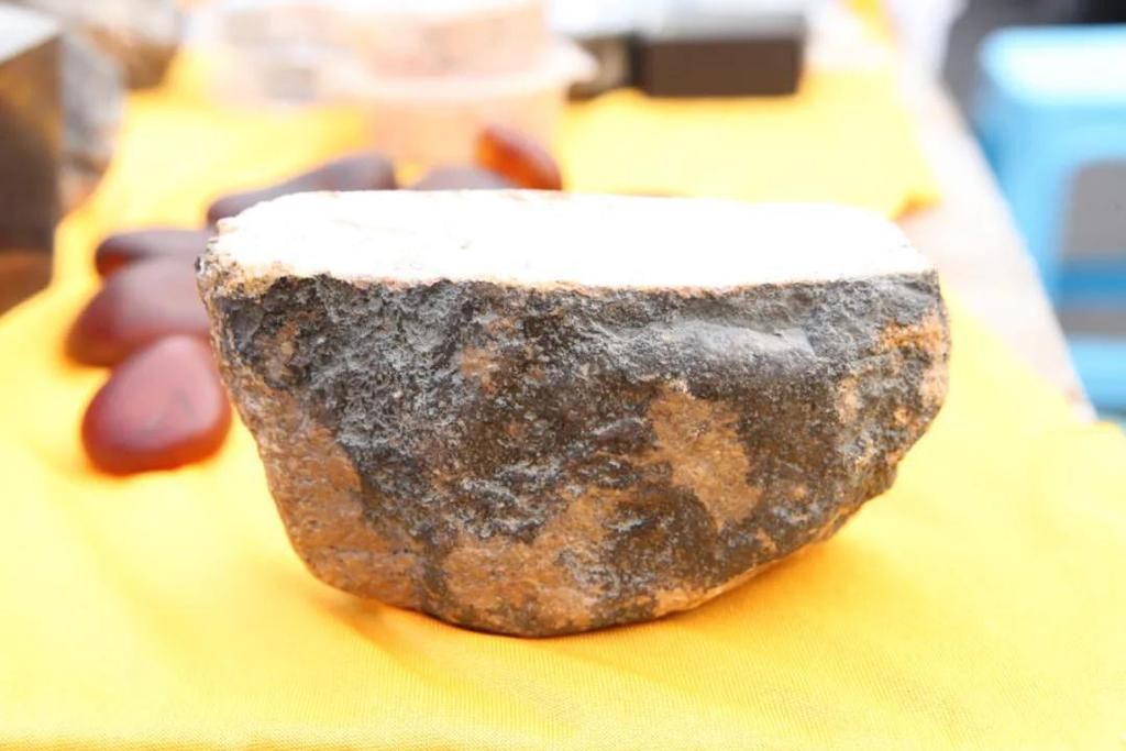  陨石|“群星”在故都闪耀——第四届临淄齐国商城陨石展