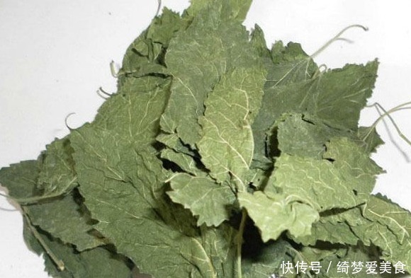 小知识|桑叶作用多,巧治十多种常见疾病,采摘时间最重要,值得了解下!