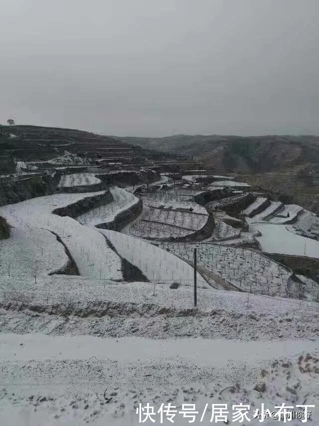 沙漠水：初春的小雪