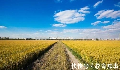 草盛豆苗稀!陶渊明隐居后写下一首名作,王安石读后感怀,即兴抒写了《即事》