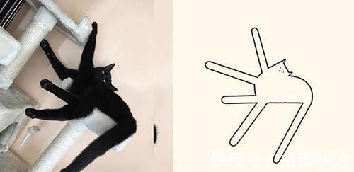 灵魂$“灵魂画手”笔下的宠物,抽象又搞笑的画风,完美抓住了“灵魂”