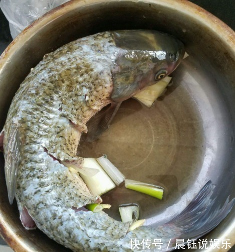 鱼肉|40年大厨不管炖什么鱼，牢记这“3点”，鱼肉鲜嫩无腥味