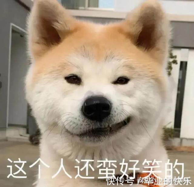 |笑话段子:我要摸流氓