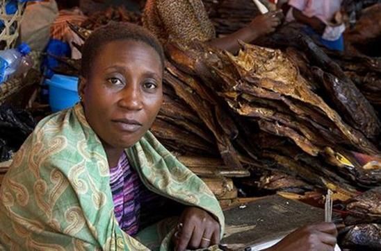 非洲人最大的困惑此物腥味这么重,为何成了中国的顶级食材