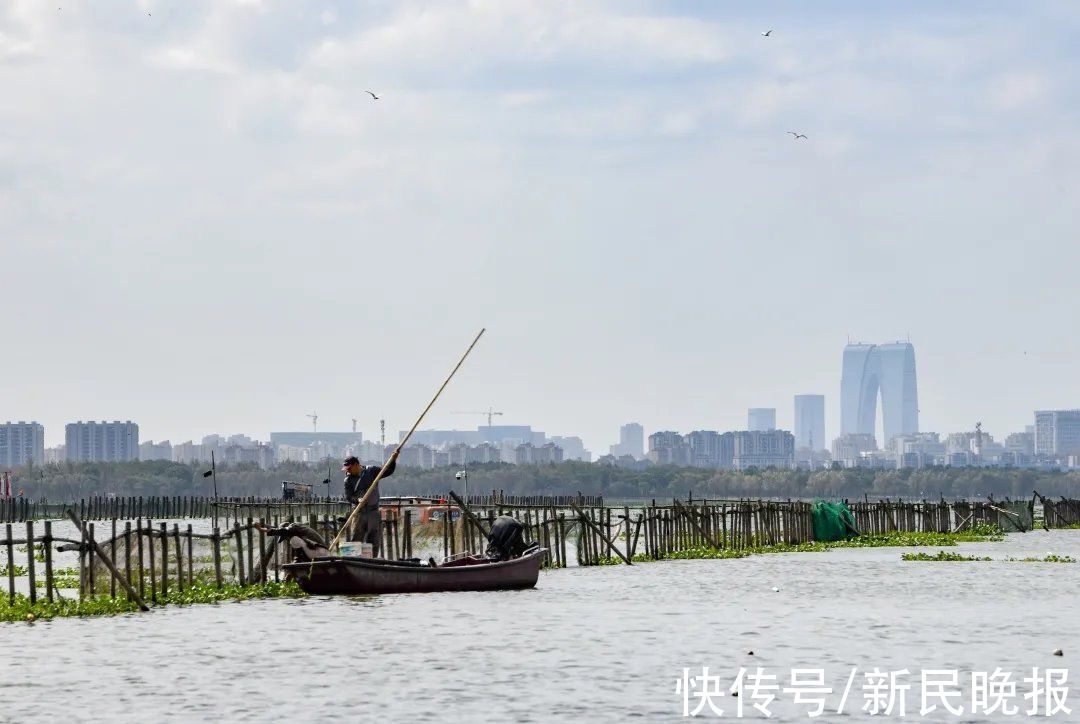 食客|再访阳澄湖