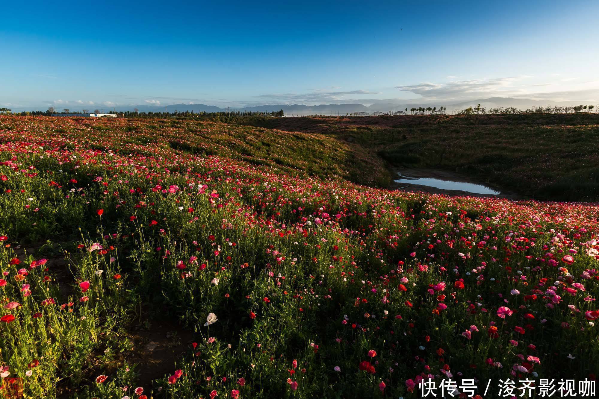 女人|温柔贤惠,“旺夫”之命的三个生肖女,真正的贤妻良母