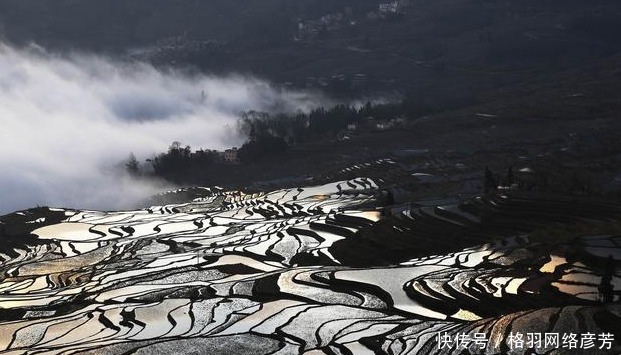 汉初|汉初和张良齐名的谋士陈平，都说他是个阴谋家，他到底有多阴？
