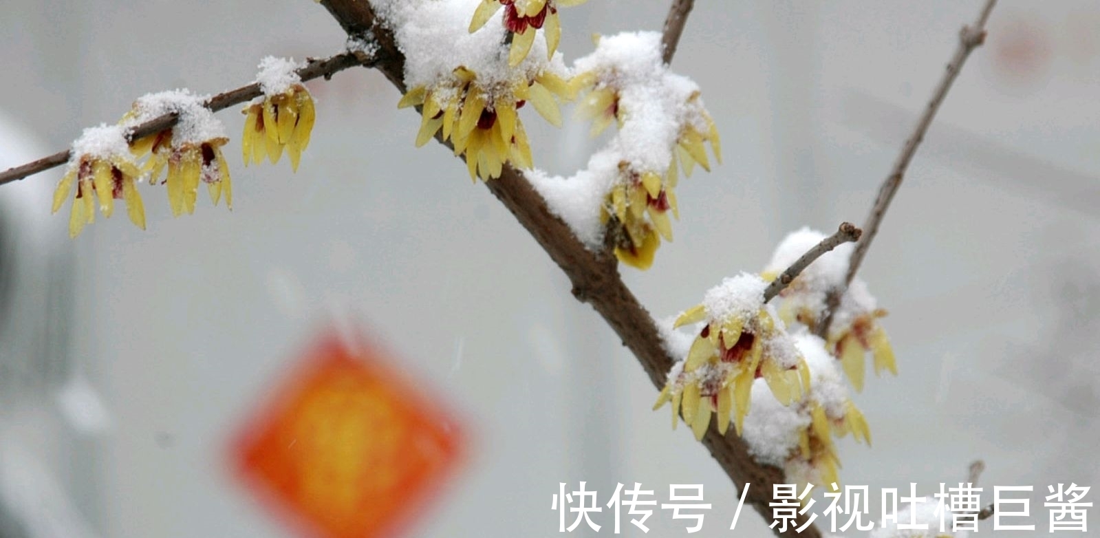 除夕夜&陆游在除夕夜举杯未饮先作诗,窗外大雪纷飞,屋内灯火暖暖