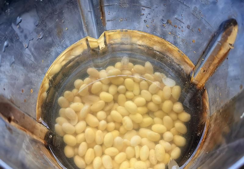 简单|手把手教你制作豆腐脑,简单易做零失败,清淡爽口越喝越爱!