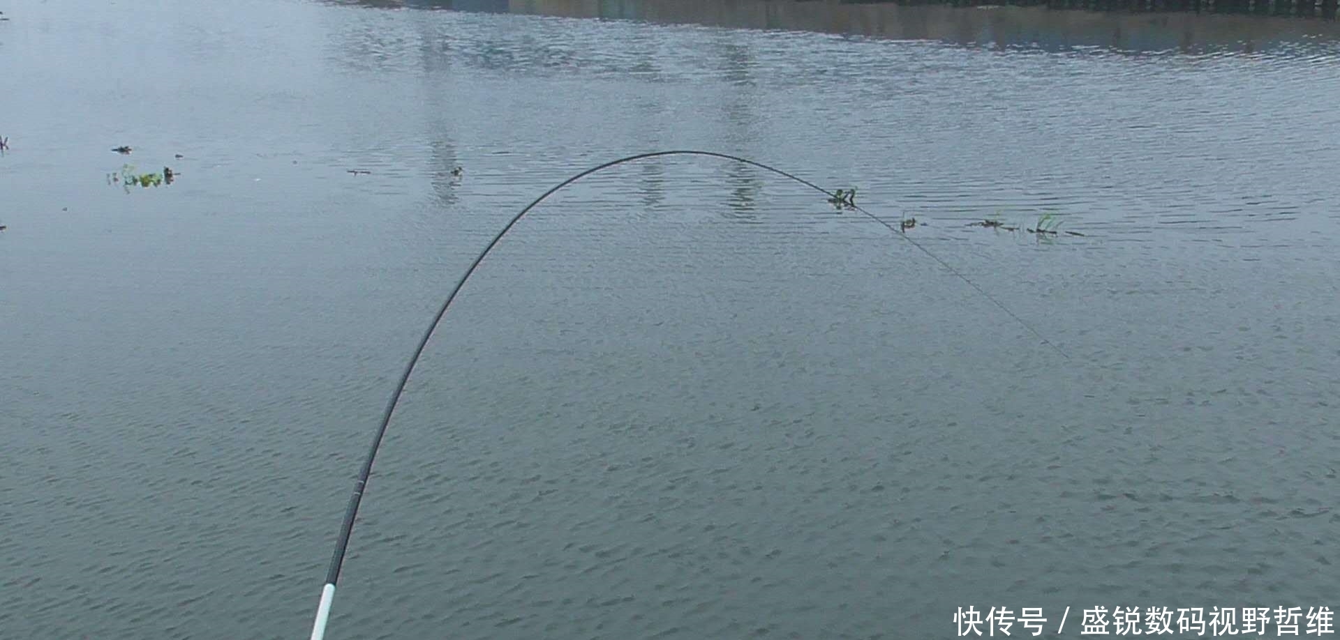 大鱼|这5个钓鱼知识虽冷,却是十足的常识,你是否因犯迷糊而忽视呢?