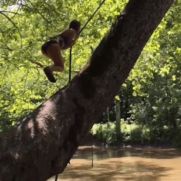 |搞笑GIF:姑娘当时就懵了 早知如此就不应该玩这个