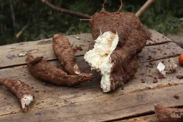 胡萝卜|50岁的女性,多吃4种“排毒菜”,排出体内毒素,早吃早受益!