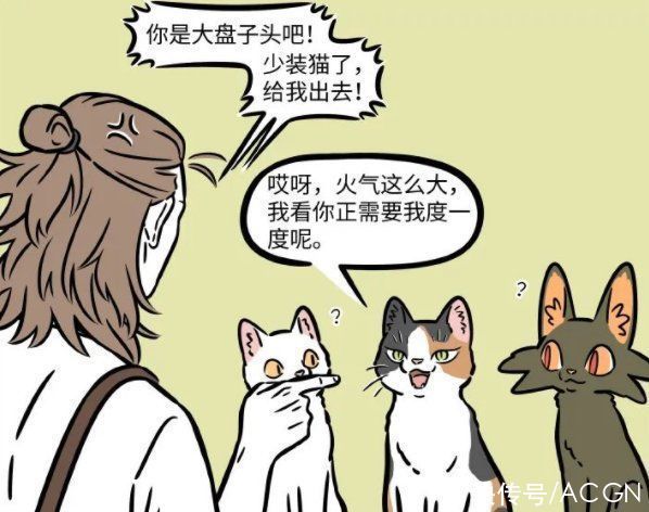 非人哉|非人哉:大士变成猫混进杨戬的咖啡馆!为何一眼就被看穿本体?