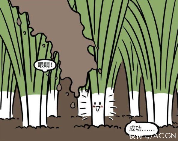 新篇章|非人哉或將進入新篇章？九月妹子轉世重生，這次居然連動物都不是