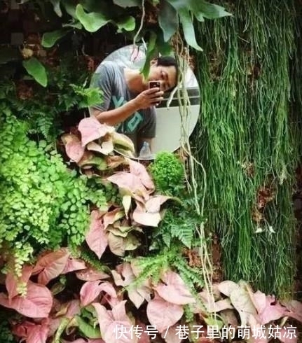 王昱珩|被《人民日报》表扬,1000万姑娘都想嫁,他将家变成热带雨林