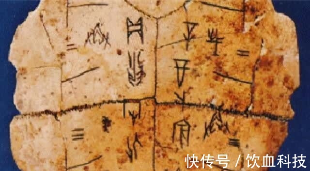 王懿荣|清朝一敷就能止血的金疮药,为何后来消失了,看看原材料就能明白