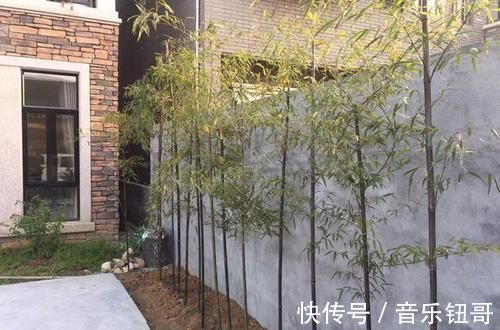 自建房|闺蜜家的自建房才花50W,还带私人花园、鱼塘,我真不信!