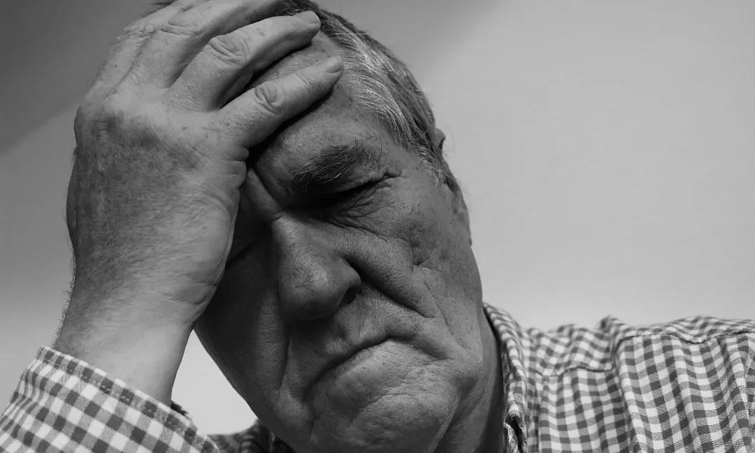 睡眠质量|老年痴呆测试题图中你能找到几只鹿我找了7只