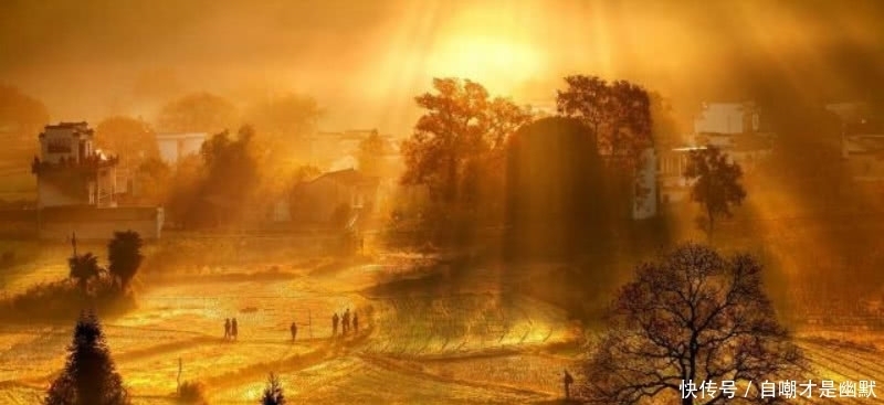 唐诗里很孤独的一首诗,虽然身处在人群,但是骨子里依旧还是孤独