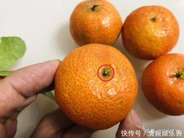 买砂糖橘时,挑有叶子还是没叶子的?牢记“4不买”,别再随便买