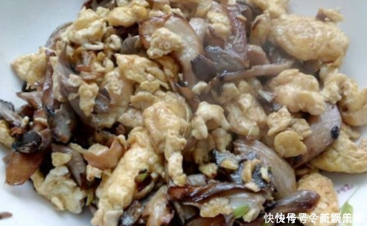 鸡蛋|低廉的价格，却拥有全面的营养，让宝宝爱吃，个子长得更好哦