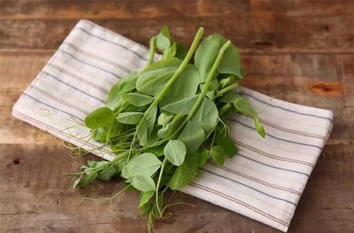  延缓|对身体最好的3种食物，营养丰富、延缓衰老，好吃又不贵！