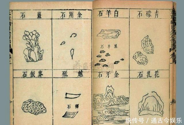 本草纲目|5年骨刺20天就好了，中医此方上治颈椎、中治腰椎、下治膝盖