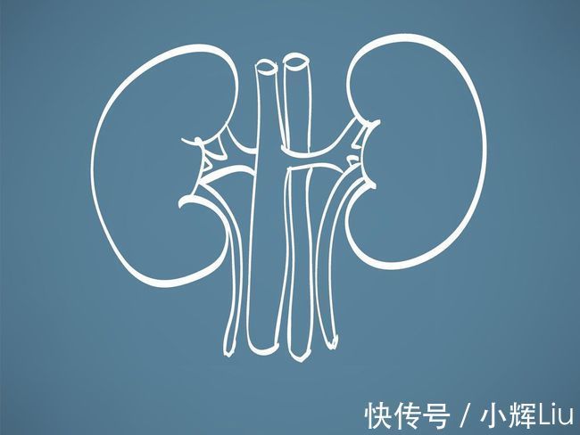 玄元妙谷|玄元妙谷:日常养肾小技巧