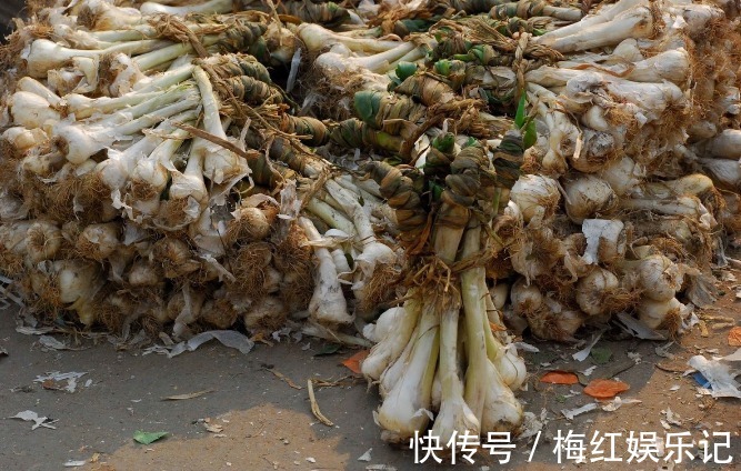 “老祖宗”留下来的“大葱保存法”，不干不空心，放半年也不坏
