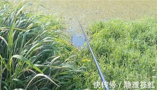 钓法|过了处暑鲫鱼越来越好钓，就用这种钓法，上的都是大鲫鱼，很过瘾