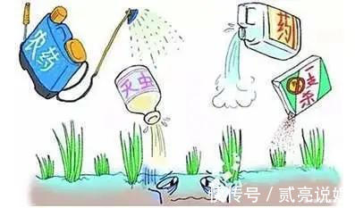 农药|8种最脏蔬果排名出炉,很多孩子都爱吃,吃水果前一定要多洗几遍