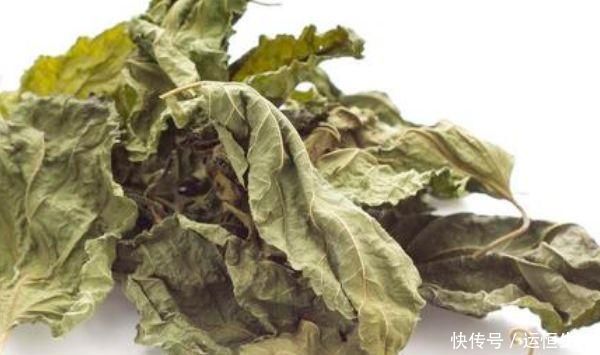 桑叶全身是宝，只有从农村出来的才知道，原来它还有这么多功效