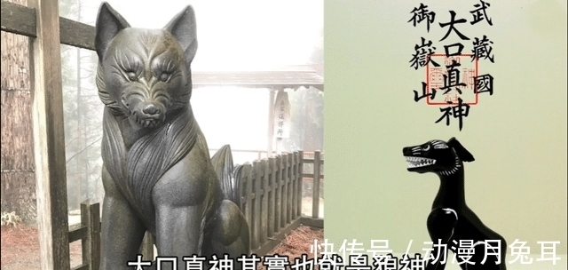 玛利亚|海贼王1020话情报:大和的果实是狼神,罗宾确认山治在船上的地位
