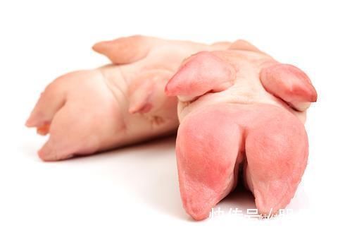 延缓衰老|女人吃猪蹄能延缓衰老?也可以尝试以下3种食物,或许效果更好