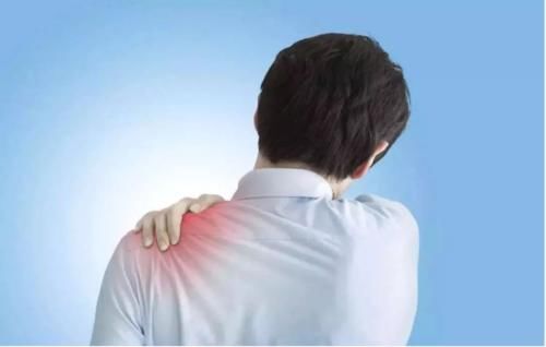 木犀草素苷|让肺部“容光焕发”的不是金银花，呼吸科： 若你爱吃，肺部清洁通透