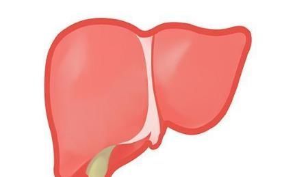 黄金期|晨起1小时是养肝“黄金期”,坚持吃4种早餐,肝脏会“感激”你