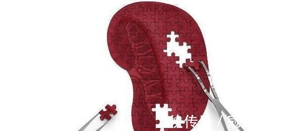 生病|脾胃虚弱易生病,坚持三件事,常吃四样东西,脾胃慢慢渐好!