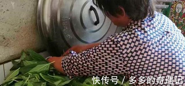 干菜|这个美食大家只知道种子能吃，殊不知叶子更珍贵，如今30元一斤！