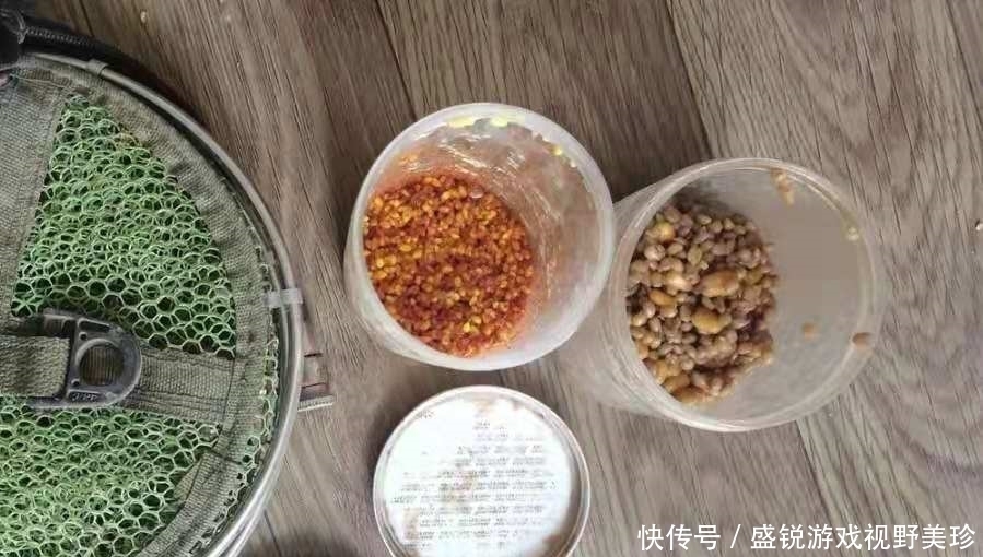 水草|老司机不会告诉你,夏钓鲤鱼一旦用这3招,天气再热也照样连竿!