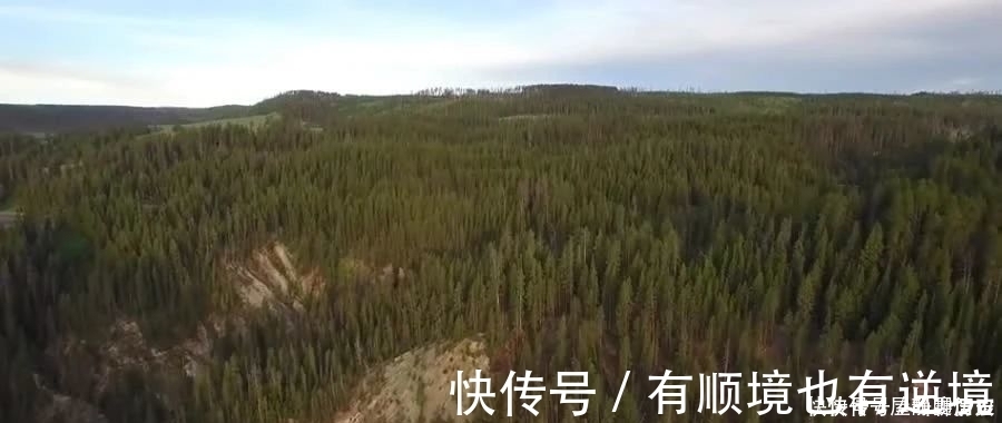 调节力|孩子近视眼怎么恢复,只需要一个条件孩子远离近视