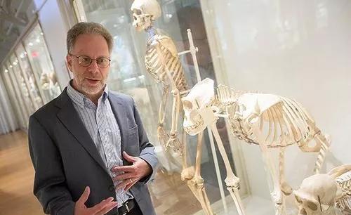 黑猩猩|尽管被很多室内健身者所不屑为什么跑步仍然是最适合人类的运动?