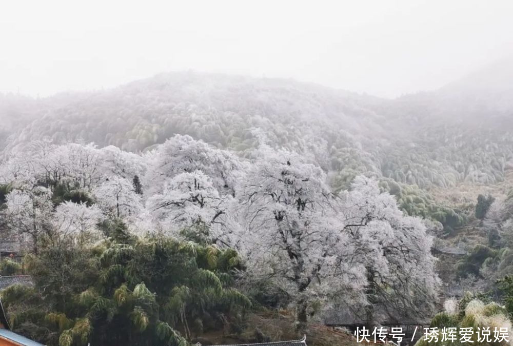 隆回雪峰山大花瑶景区白雪纷飞，银装素裹美醉了！