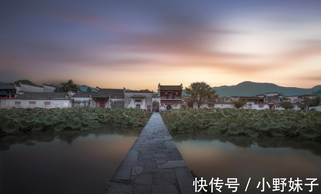 莲叶|微风忽起吹莲叶，青玉盘中泻水银。感受暴风雨后的好时光