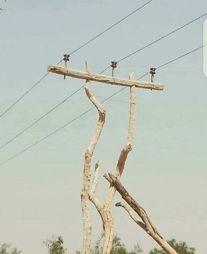 游泳池$盘点那些反人类的奇葩设计,每一个都是人类智慧的结晶