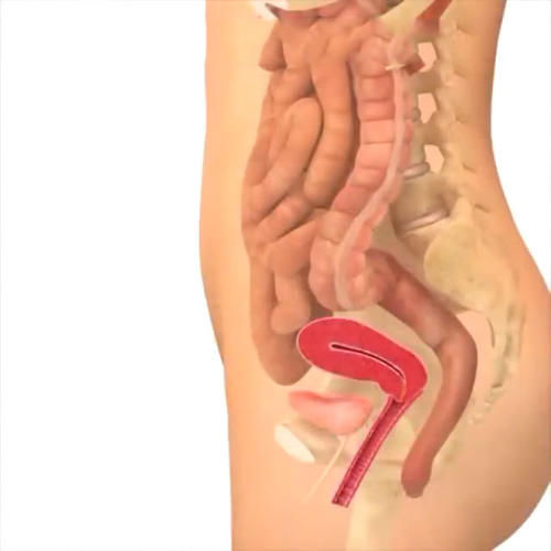 胎儿|孕期40周胎儿生长发育组图,胎儿是这样一天天长大的