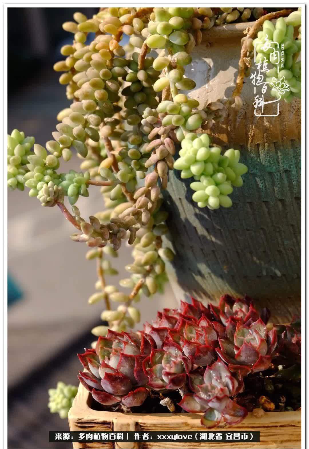 时光匆匆,一闪而逝,这世间万物的美,都值得被记录!